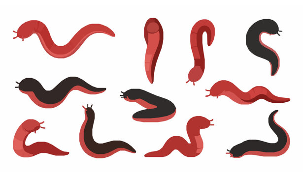 Cartoon leech worms vector set bloodsucking river parasite animals flat illustration collection isolated on white