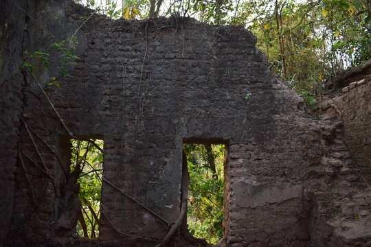 Kirtipasha Zamindar Bari &ndash; Historic Zamindar Palace of Jhalokati, Bangladesh. Kirtipasha Zamindar Bari is a historic mansion located in Kirtipasha village of Jhalokati district in southern Bangladesh.