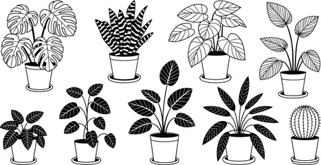 Collection of Potted Houseplants in Black and White Line Art Style Keywords: potted plants, houseplants, indoor plants, foliage © Rasel