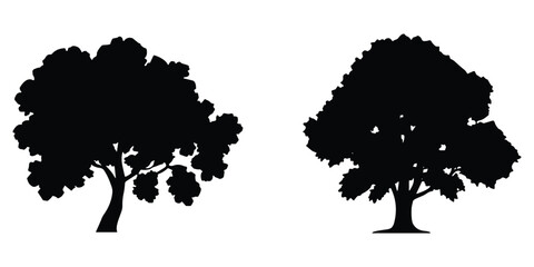 Silhouette of two deciduous trees with full foliage on a white background leaves © Rasel