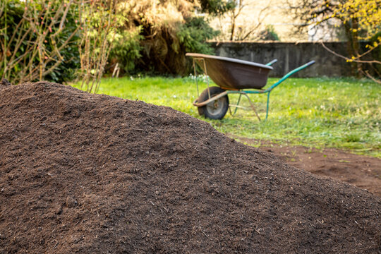 Large pile of organic compost soil in a backyard garden with a wheelbarrow in soft focus behind. Concept of gardening, soil preparation, natural fertilizer and sustainable home gardening.