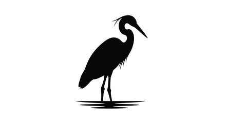 Obraz premium Elegant heron standing in water a striking black silhouette