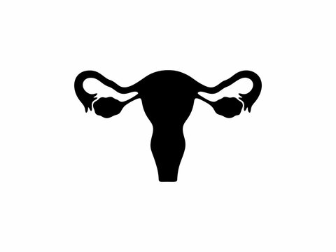 Human Female Reproductive System Uterus and Ovaries Black Silhouette Icon