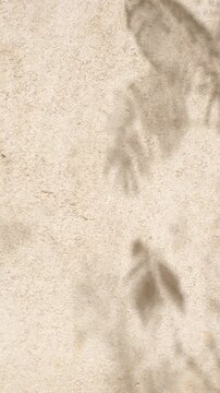 Minimal vertical loop footage of soft botanical shadows on a light textured wall moving in the wind. Neutral background for advertising, branding, text and mobile video.