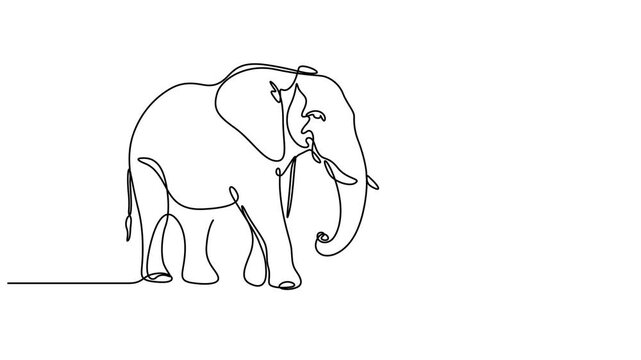Self drawing line animation Elephant walking continuous line concept, Self animated continuous one line art drawing of an elephant. Single line drawing elephant icon. Full length single line art anima