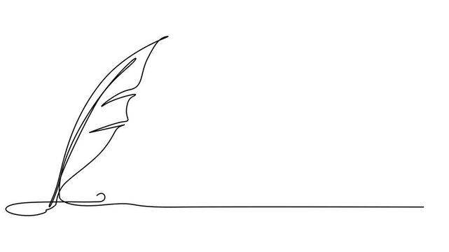 Animation of a single line drawing of a feather. Continuous contour movement of a feather. Continuous video with one line. 4K, Self animated minimalist continuous line drawing featuring a single pro.