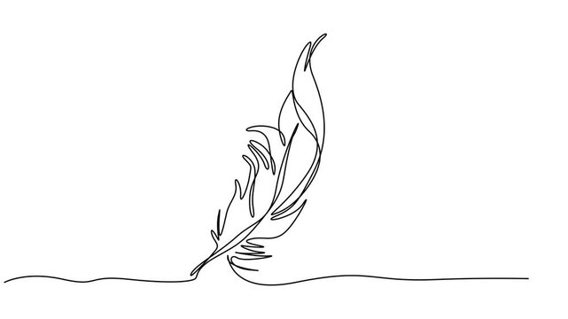 Animation of a single line drawing of a feather. Continuous contour movement of a feather. Continuous video with one line. 4K, Self animated minimalist continuous line drawing featuring a single pro.