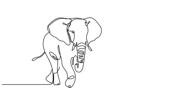 Self drawing line animation Elephant walking continuous line concept, Self animated continuous one line art drawing of an elephant. Single line drawing elephant icon. Full length single line art anima