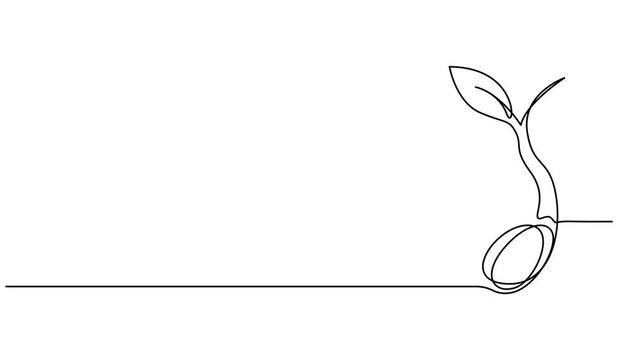 Animated self drawing of Continuous one line drawing of a young plant sprout with two leaves growing from the ground, growing new leaves continuous one line drawing animation, Animated self drawing of