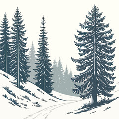 Fototapeta premium A serene winter scene with snow covered pine trees