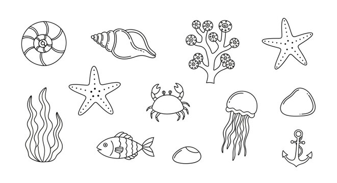 Ocean Creatures and Marine Elements Outline Icon Set on Isolated White Background