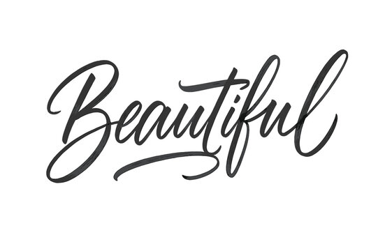 Elegant Script Art. Script Hand-Lettering style with brush script, fluid strokes, semi-cursive with soft curves, expressive fast brush strokes, elegant thin