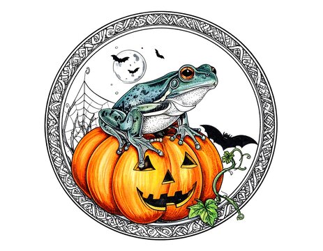 Detailed ink drawing Frog sits atop a carved pumpkin, with bats, moon and web framed in an ornate circle