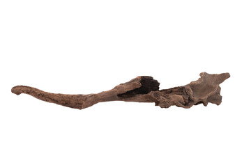 Fototapeta premium Beautiful dried logs for garden decoration.