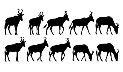 Fototapeta premium Hartebeest antelope silhouettes set African wildlife animal vector collection isolated on white