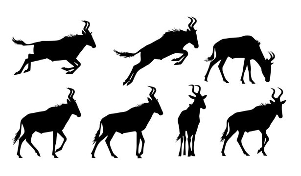 African hartebeest antelope silhouette pack wild safari animals in motion vector illustration