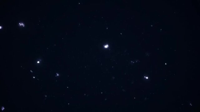Vast expanse of tiny luminous specks shimmering against an endless dark void, capturing the serene and mysterious beauty of celestial phenomena in a cosmic realm
