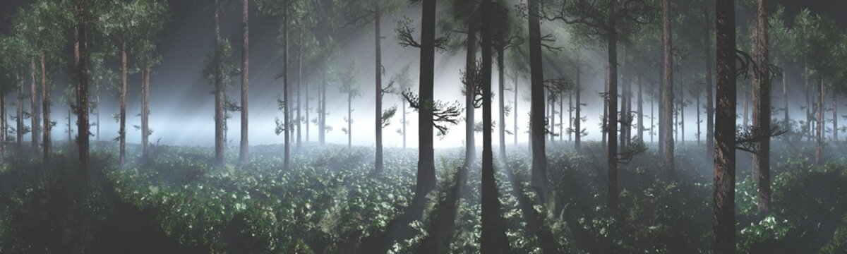 Forest in the morning in a fog in the sun, trees in a haze of light, glowing fog among the trees, 3D rendering