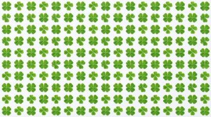 A detailed overhead view of a large collection of green four-leaf clovers arranged in a grid pattern on a white background.