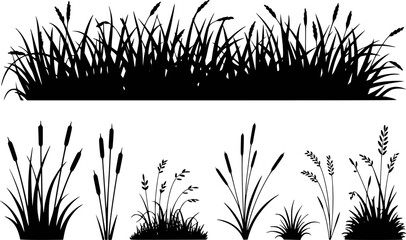 Black silhouettes of various wetland grasses and cattails against a white background © Mili