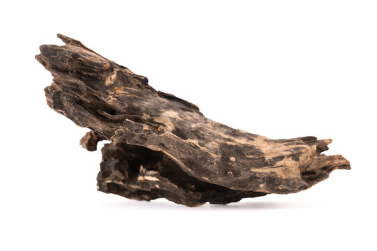 This captivating floating wooden sculpture moves gracefully, showcasing the art of nature. Each twist and curve tells a story of strength and beauty, inviting viewers to contemplate the passage of tim