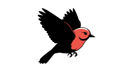 Fototapeta premium A red and black bird in mid flight with wings spread wide on white background