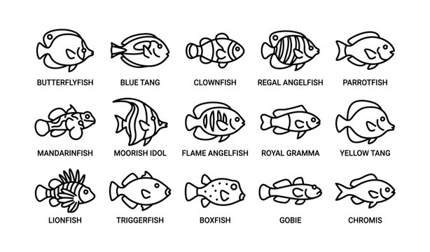 Vector set of diverse tropical fish icons including butterflyfish and clownfish