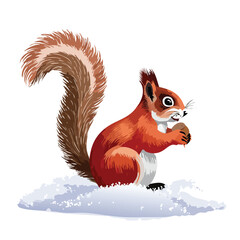 Cartoon red squirrel with nut sitting on snow against white background © kerupuk
