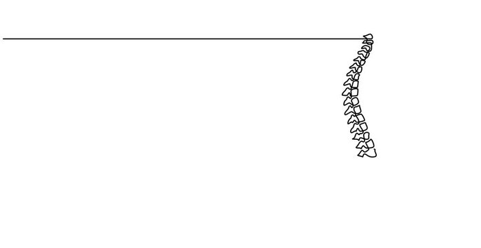 Animation video  spine, Continuous one line drawing bones of human hand.  Wrist bones in single line art Animation video . Chiropractor spine. Continuous one line drawing on Animation video
