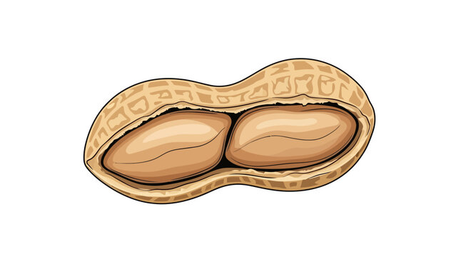 Peanut in Shell Open.