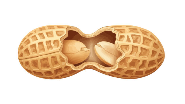 Peanuts in Shell Open.