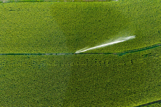 Irrigation of a field in front of a sunset. Agriculture in a hot summer in France