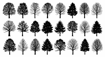 Silhouettes of various leafless deciduous trees in different shapes and sizes.
