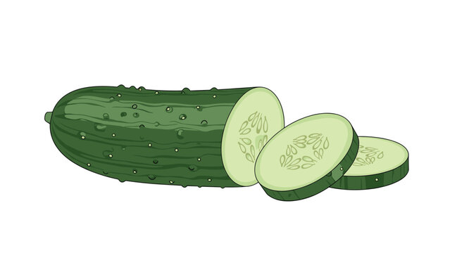Whole green cucumber with its bumpy texture is shown alongside several thin slices revealing the seeds and light green flesh.