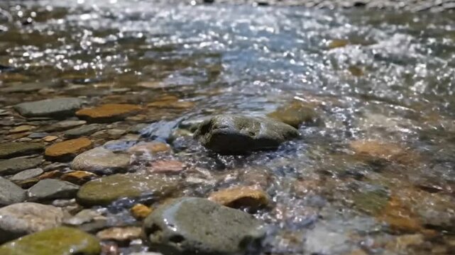 crystal clear mountain stream water flowing over smooth pebbles in sunlight