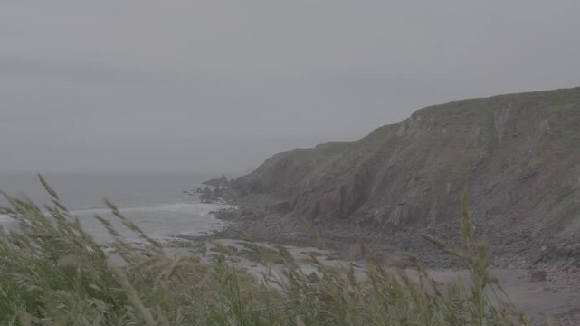 Windswept coastal landscape of Westdale Bay cliffs, Pembrokeshire, Wales