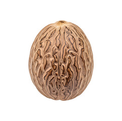 Obraz premium Whole walnut with natural shell and texture on transparent background