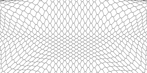 Fishing or soccer net. Repeated hexagon pattern. Black wired mesh texture isolated on white background. Metallic or fabric fence, cage or lattice structure. Vector graphic Illustration. © anwar