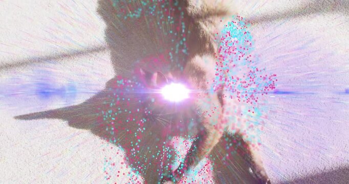 Brown cat lying in sun patch, brief pause creating pink-cyan particles and flare, cat stretching