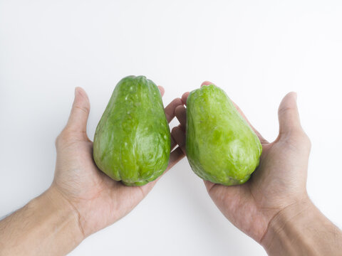 Two hands holding fresh green chayote or sechium edule on white. Man showing organic raw vegetable pair for healthy cooking ingredient.
