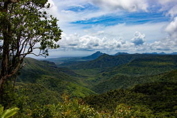 Fototapeta premium Die Natur von Mauritius