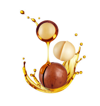 Macadamia nuts with oily liquid close-up isolated on a transparent background. Generative AI