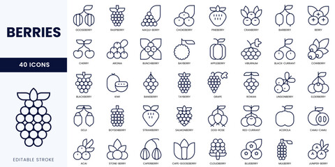 A collection of 40 berry icons featuring various types in minimalistic line art style. © JHORA