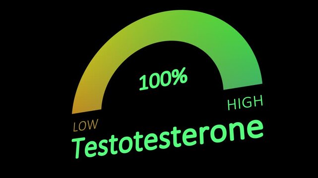 Testosterone level indicator measurement health monitor. Hormone level measuring scale animation.