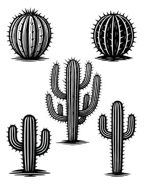 Conjunto cactos planta deserto natureza ilustra&ccedil;&atilde;o vetor
