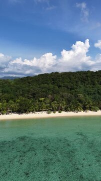 Cinematic aerial video in vertical portrait orientation of tropical beach in the Philippines with palm trees