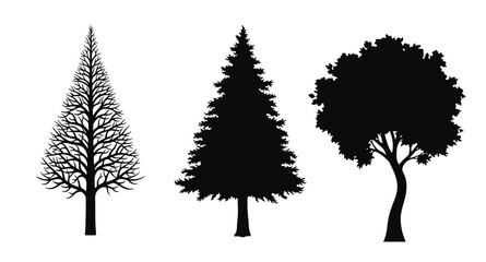 Fototapeta premium Three distinct trees are shown in a stark black silhouette