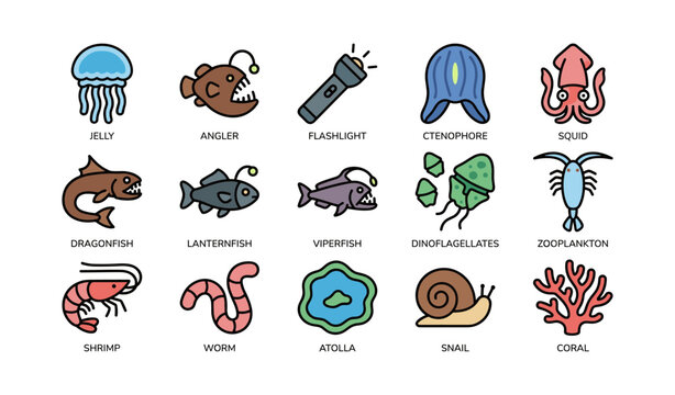 Colorful marine creatures icons: jellyfish, anglerfish, flashlight fish, squid, coral