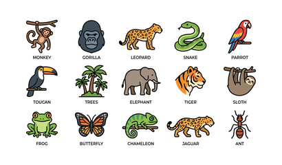 Fototapeta premium Jungle animals: monkey, gorilla, leopard, snake, parrot, toucan, elephant, tiger, sloth