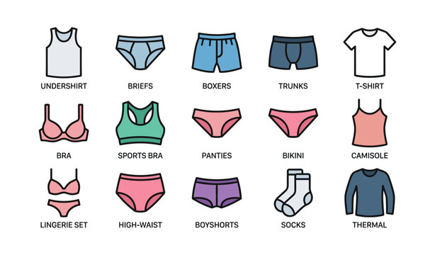 Various types of clothing: undergarments and casual wear illustrated on white background